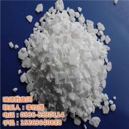 創新驅動，綠色發展 瑞德勝集團引領氯化鈣新材料技術研發新篇章