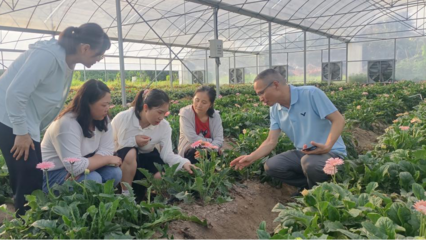 泉州洛江區(qū)科特派行動(dòng)周報(bào) 林業(yè)產(chǎn)品銷(xiāo)售專(zhuān)題