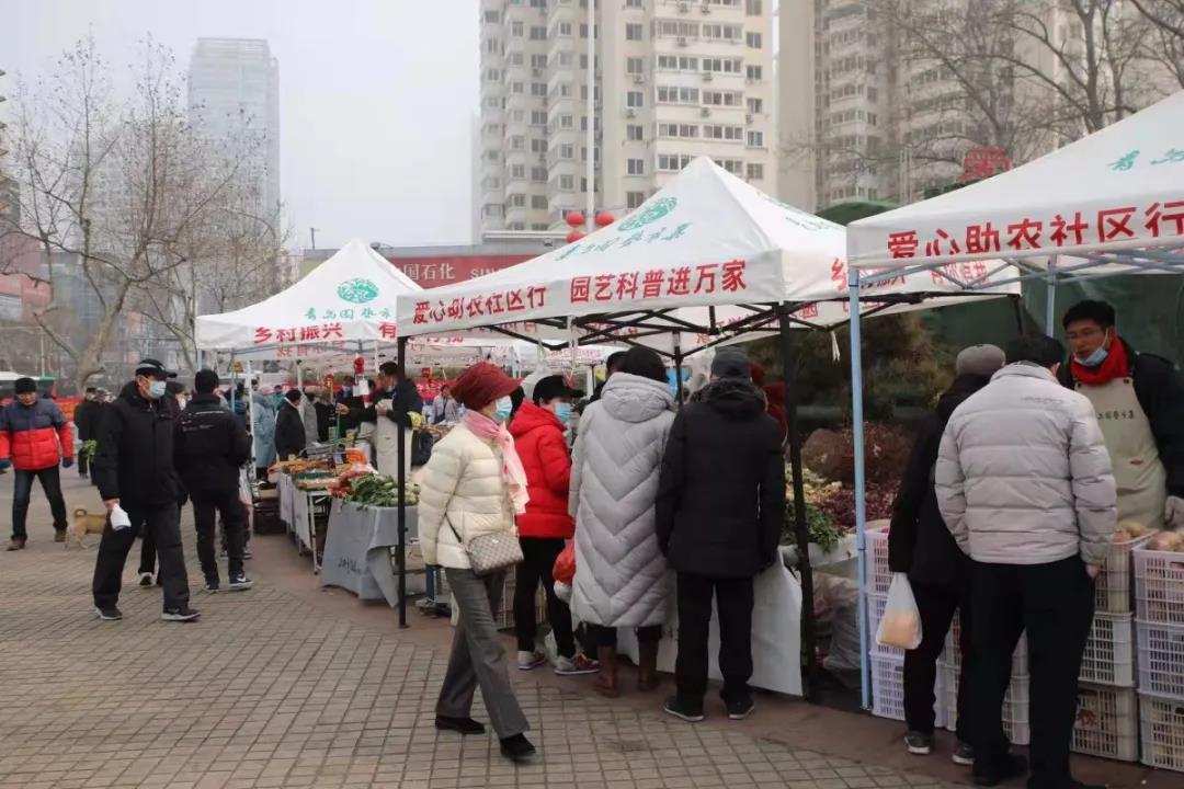 青島園藝市集盛大開(kāi)集，60余種物美價(jià)廉林業(yè)產(chǎn)品任您選購(gòu)