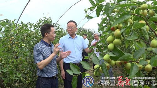 市林業(yè)局深入我縣開展林業(yè)工作調(diào)研 聚焦產(chǎn)業(yè)發(fā)展，助力林產(chǎn)品銷售升級(jí)