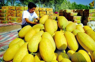 援疆風采 步步高援疆行，架起湘吐共富橋