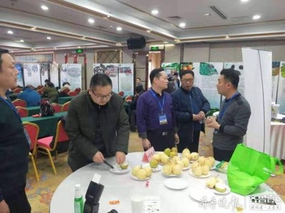 陽(yáng)信鴨梨榮獲“全國(guó)綠色農(nóng)業(yè)十佳地標(biāo)品牌”稱號(hào)，綠色農(nóng)業(yè)品牌價(jià)值再提升